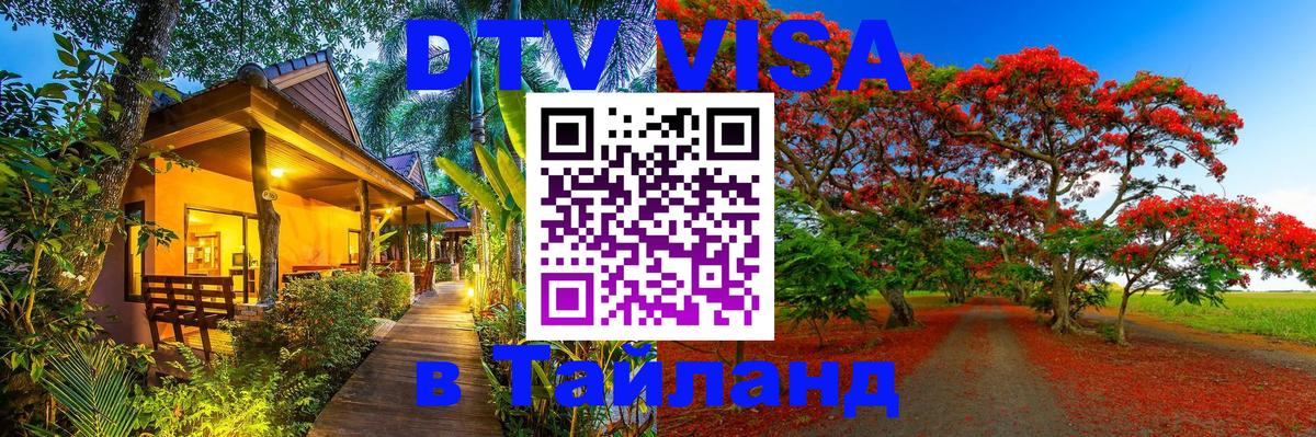 Сколько стоит DTV виза — актуальные цены, оформление даже без документов - Нижний Новгород 